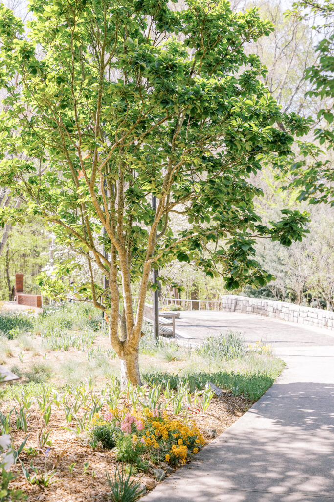 The State Botanical Gardens of Georgia