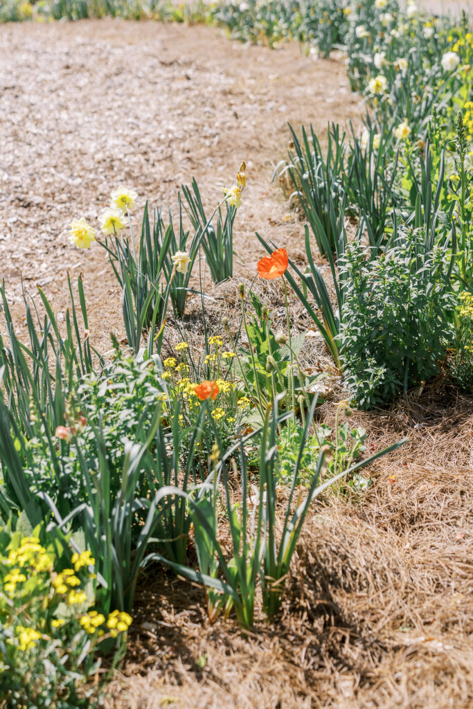 The State Botanical Gardens of Georgia