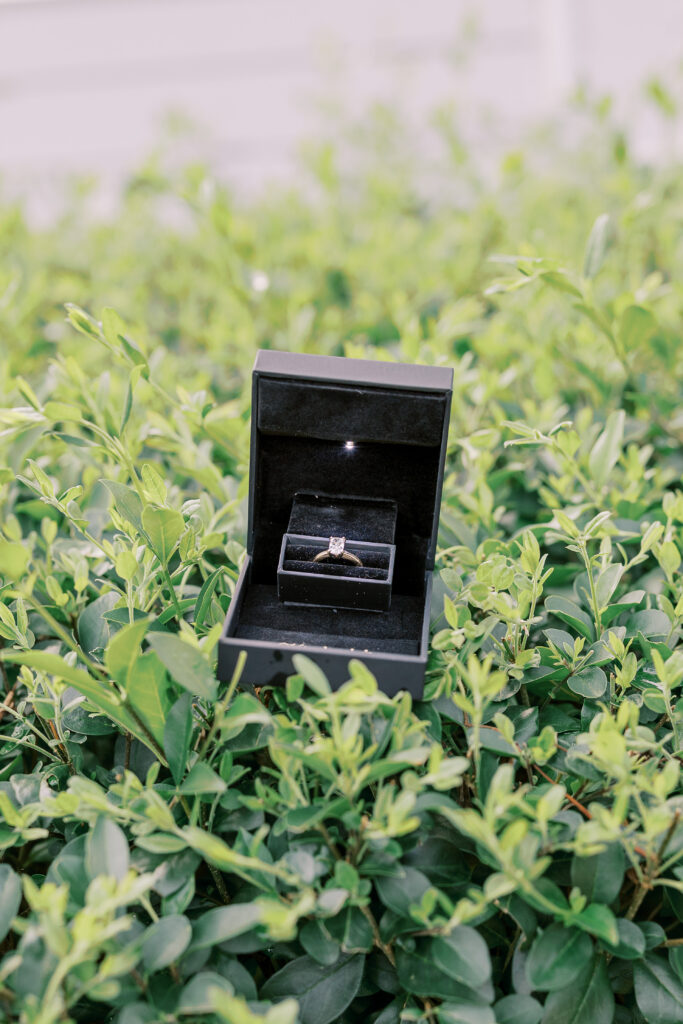 A proposal inside of Sanford Stadium at the University of Georgia in Athens