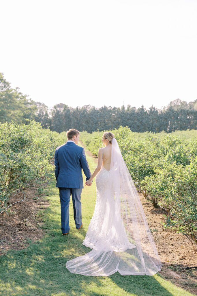golden hour portrait of the bride and groom