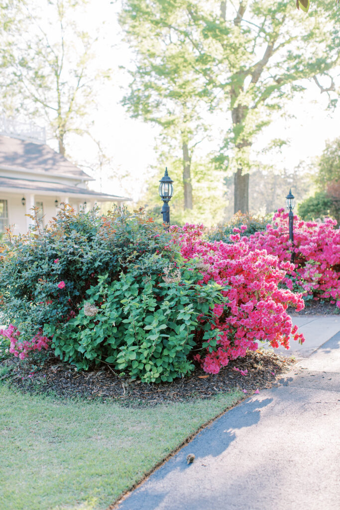 a stylized luxury garden wedding editorial photography session at the garden outside athens, georgia formerly known as the thompson house and garden by sarah folsom photography, alexis lunsford photography, and oakwood lace and co
