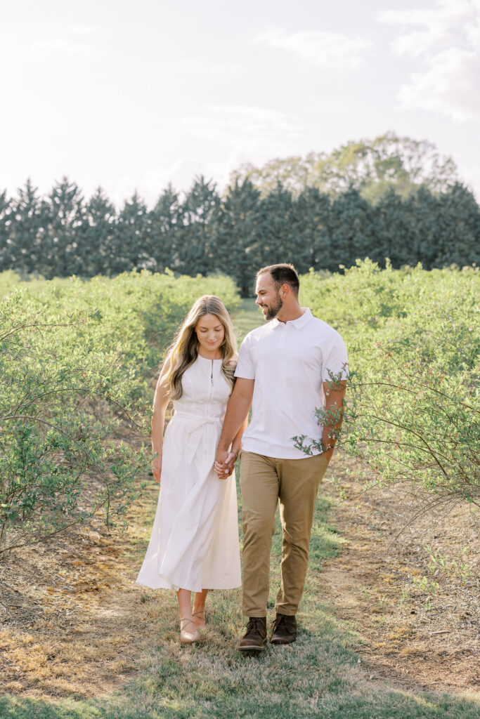 a couple in the blueberry fields at hadden estate